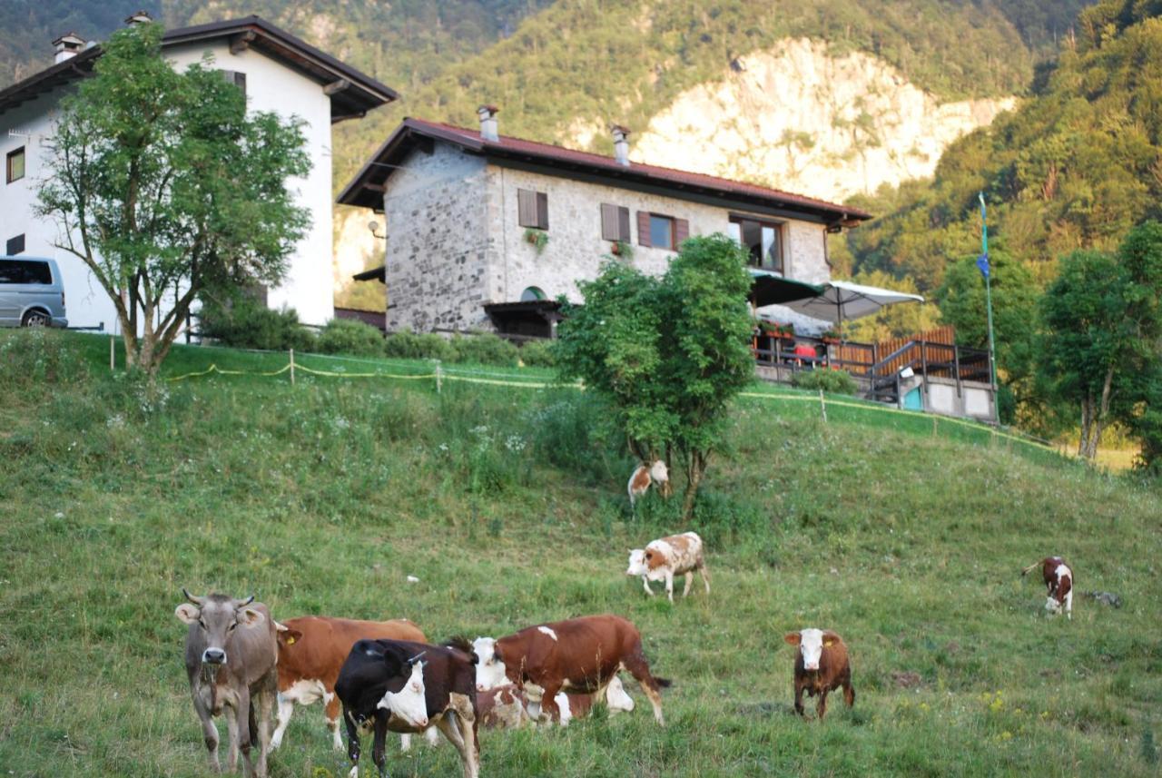 Rifugio Malga Grasia Caprizi Luaran gambar