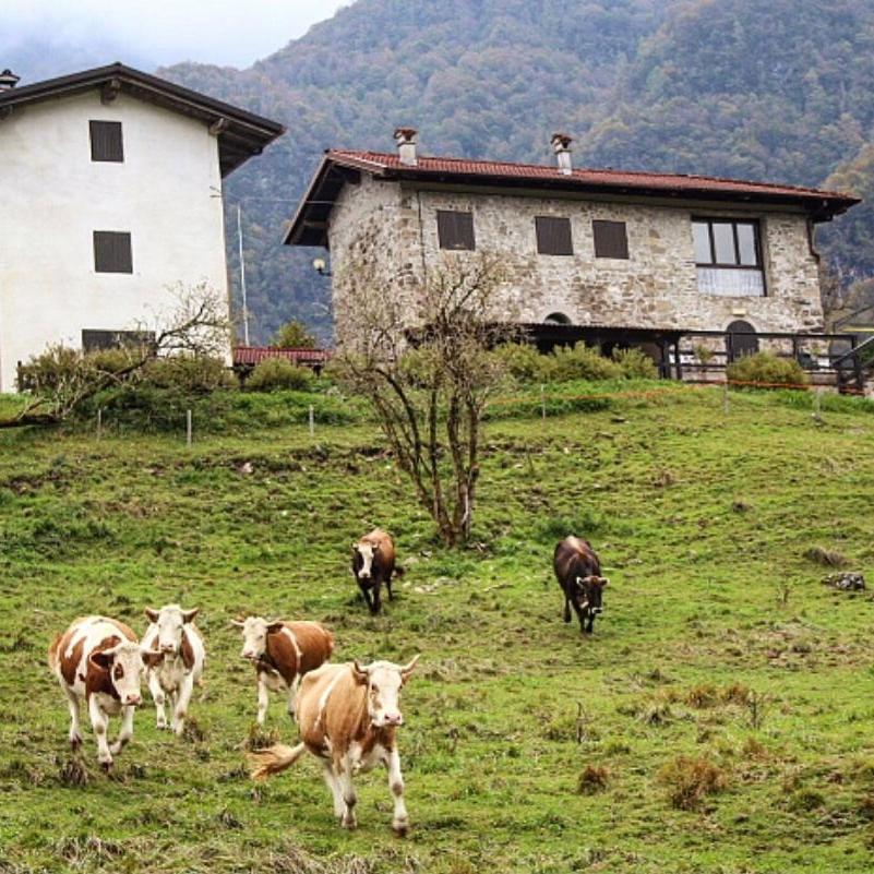 Rifugio Malga Grasia Caprizi Luaran gambar